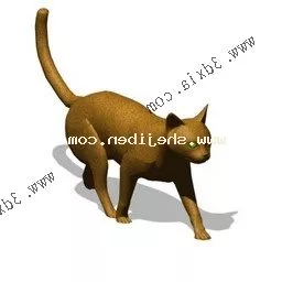 Beautiful Small Orange Cat 3d model