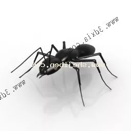 Lowpoly Black Ant 3d model