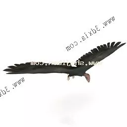 Vulture 3d model