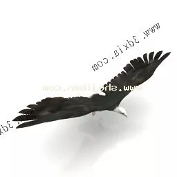 Eagle Sculpture Statue 3d model