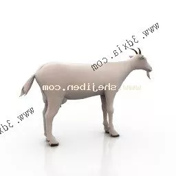 White Goat 3d model