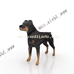 Wild Dog Standing 3d model