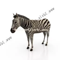 Zebra Rigged 3d model