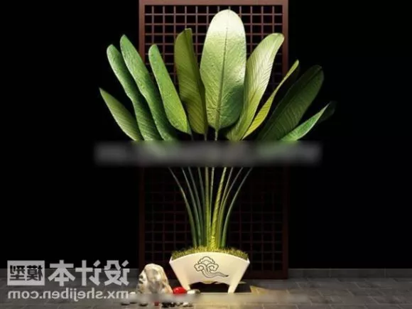 Realistic Potted Small Banana Tree 3d model Realistic Potted Small Banana Tree 3d model