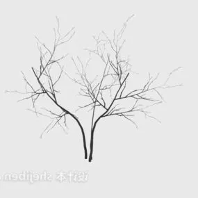 Home Trinkets Dry Branches 3d model