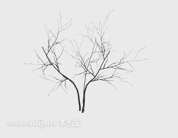 Home Trinkets Dry Branches 3d model Home Trinkets Dry Branches 3d model