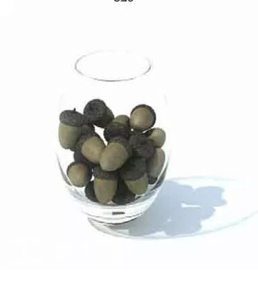 Acorn Nut 3d model Acorn Nut 3d model