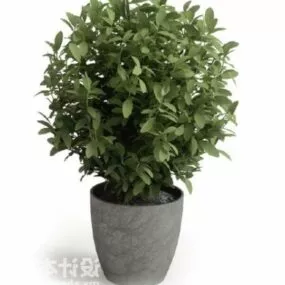 Potted Topiary Plant V1 3d model