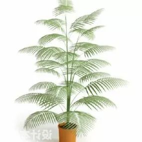Potted Plant Small Leaf 3d model