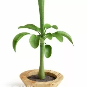 Small Wood Potted Plant 3d model