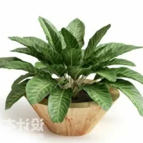 Indoor Wooden Potted Plant V1 3d model