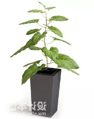 Decor 3d model