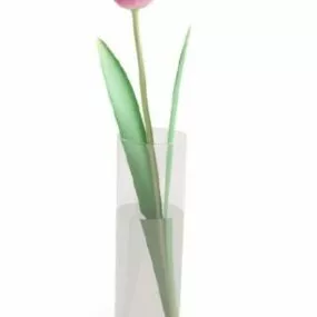 Glass Potted Plant Flower 3d model