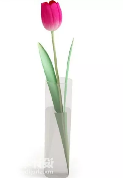 Home Table Vase Flowers 3d model