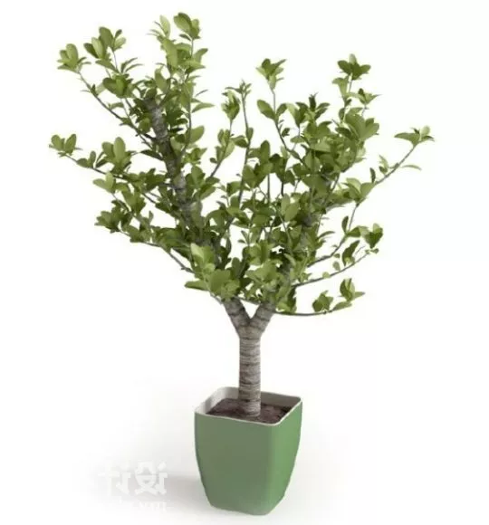 Old Terracotta Poteries Vase 3d model