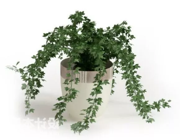 Plant 2 3d model