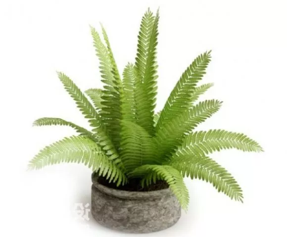 Potted Flower Yellow 3d model