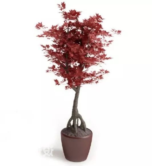 Grape Leaves 3d model