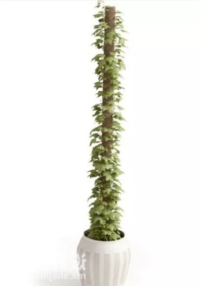 Small Banana Tree 3d model