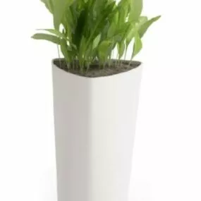 Potted Plant White Porcelain Vase 3d model