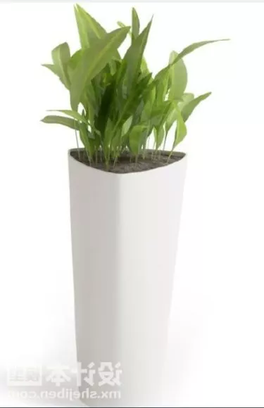 Large Indoor Potted Plant V1 3d model