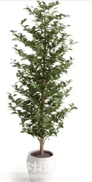 Art Tree In Cup 3d model