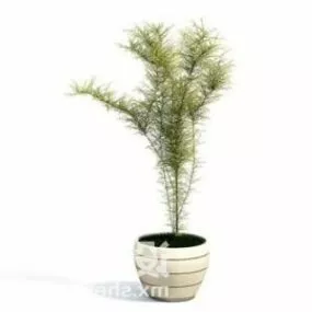 Indoor Tiny Leaf Plant Tree Office Decoration 3d model