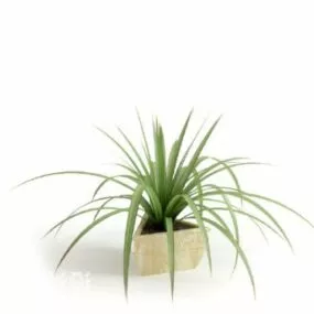 Small Potted Plant Tree Decoration 3d model
