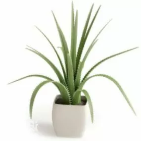 Tableware Potted Plant Tree Decoration 3d model