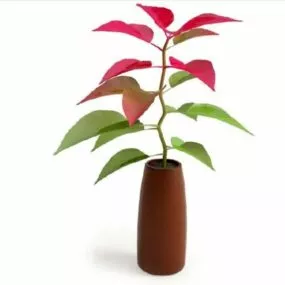 Pink Leaf Potted Plant Tree Decoration 3d model
