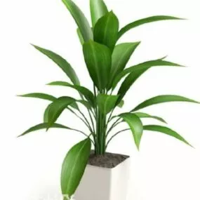 Potted Plant Green Leaf Tree Decoration 3d model