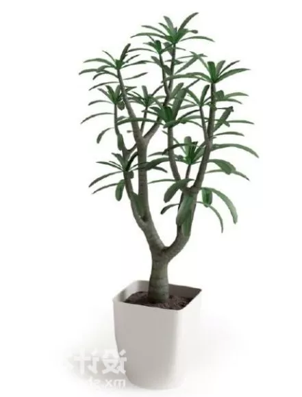 Plant 3d model