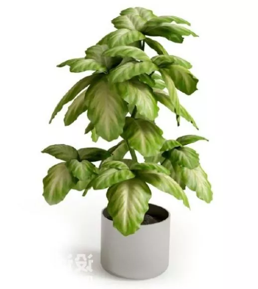 Corbel Column Decoration 3d model