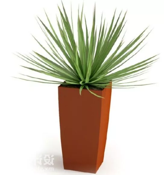 Plant 3d model