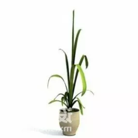 Indoor Long Leaf Plant Tree Decoration 3d model