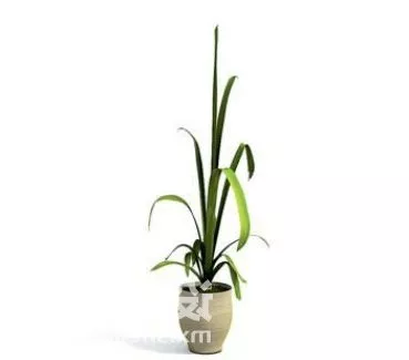 Large Indoor Potted Plant 3d model
