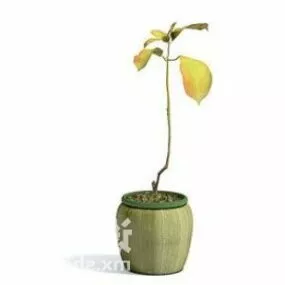Indoor Small Plant Tree Decoration 3d model