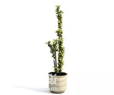 Indoor Ivy Plant Tree Decoration 3d model Indoor Ivy Plant Tree Decoration 3d model