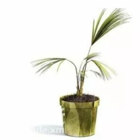 Indoor Palm Plant Tree Decoration 3d model