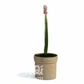 Indoor Plant Flower Orchid Tree Decoration 3d model