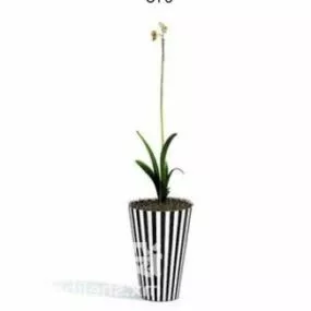 Indoor Yellow Orchid Plant Tree Decoration 3d model