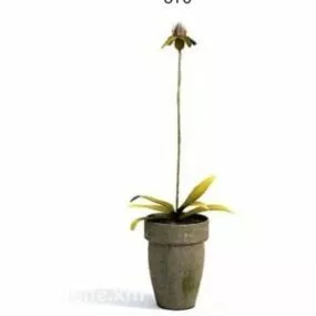 Indoor Yellow Flower Plant Tree Decoration 3d model