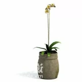 Flower Orchid Indoor Plant Tree Decoration 3d model