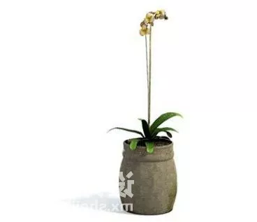 Indoor Potted Lilies Flower 3d model