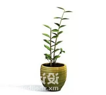 Summer Green Tree 3d model