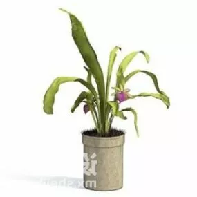 Indoor Plant Tree Decoration 3d model