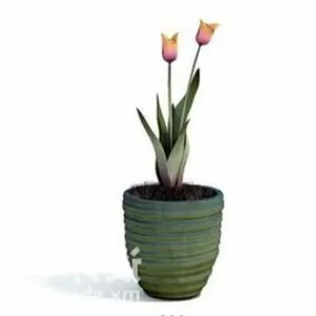 Indoor Flower Potted Decorating 3d model