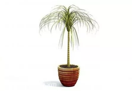 Small Palm In Ceramic Pot 3d model
