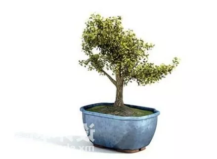 Indoor Small Tree Potted Plant Decorating 3d model Indoor Small Tree Potted Plant Decorating 3d model