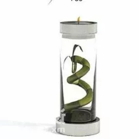 Cylinder Glass Potted Plant 3d model